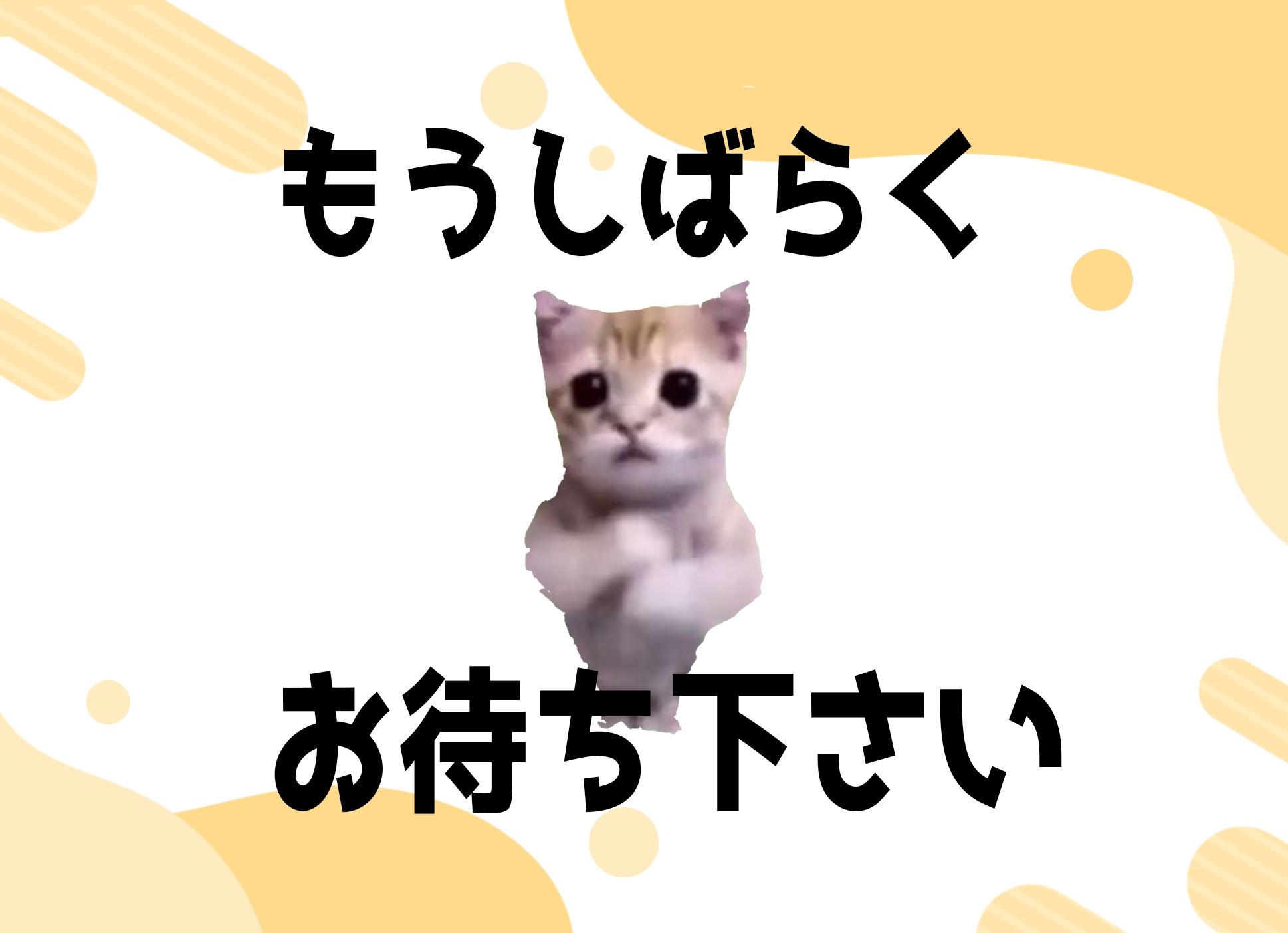 金子 靖明